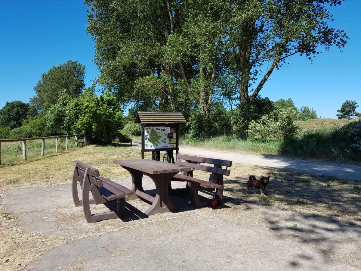 Fewo1 Born Eksteriør bilde