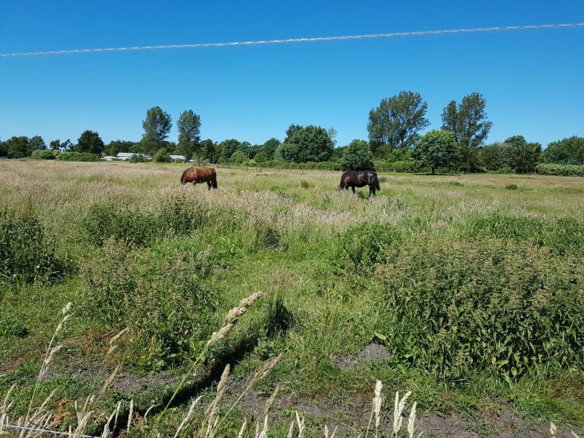 Fewo1 Born Eksteriør bilde