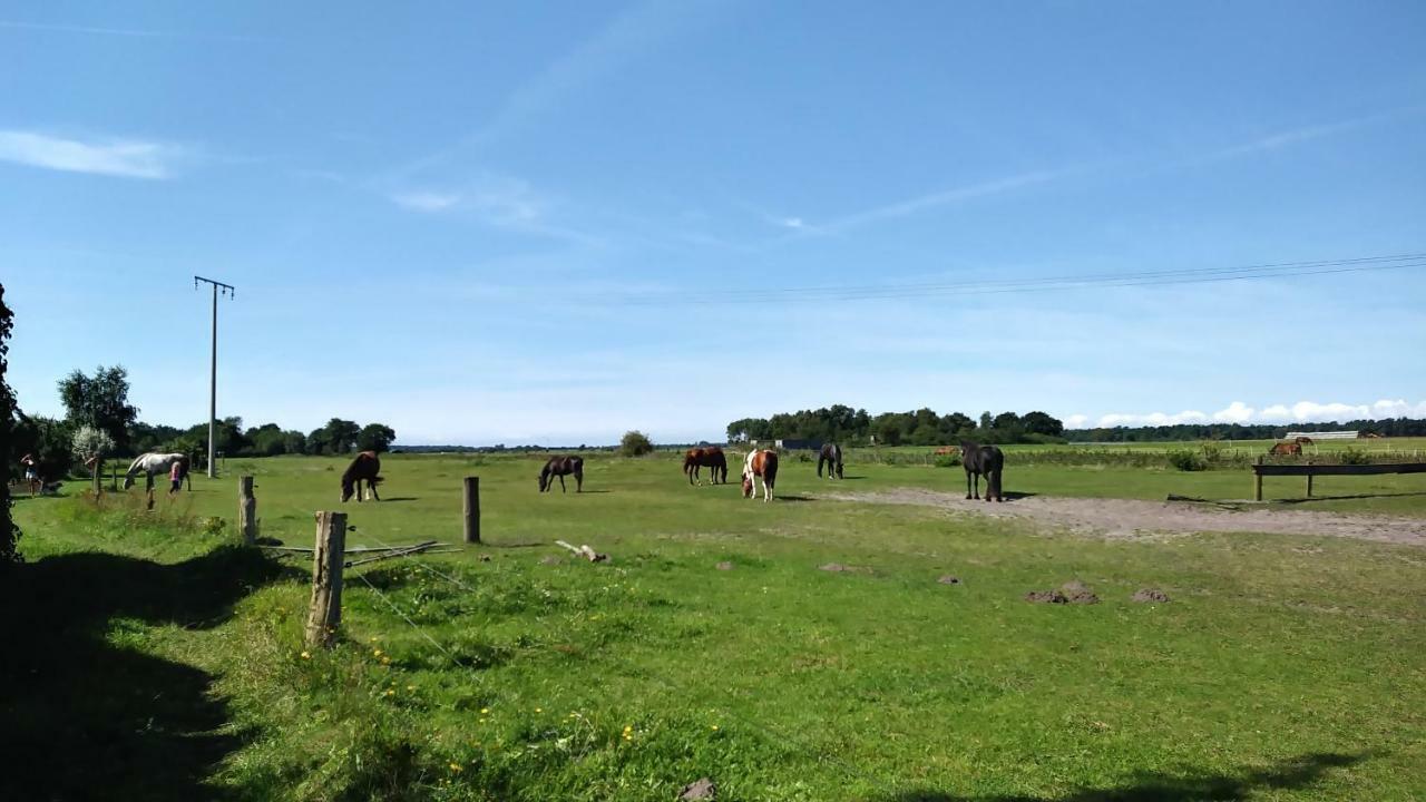 Fewo1 Born Eksteriør bilde